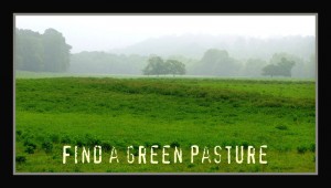 Green Pastures